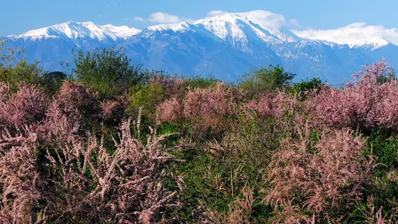 Eine wilde Landschaft vor dem Götterberg Olymp.