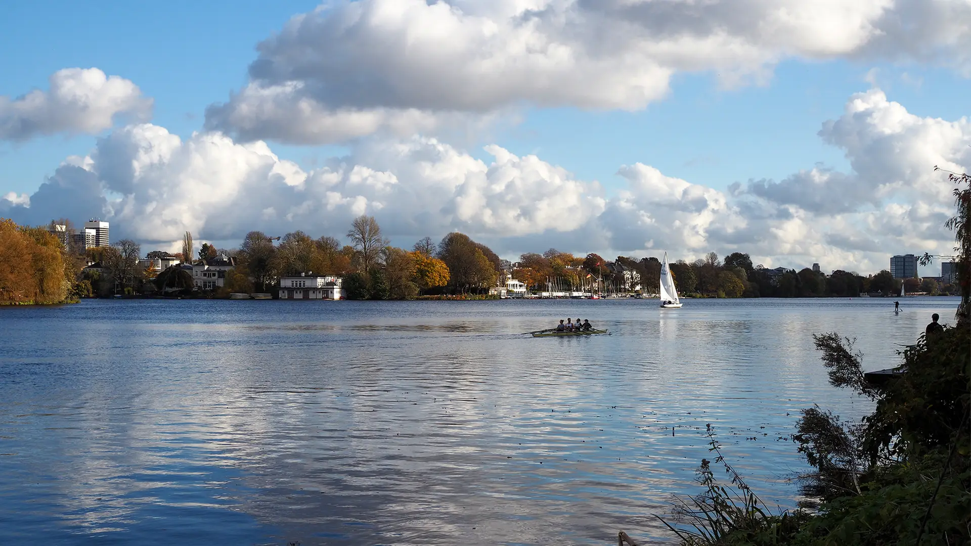 Neue Studie zur Alster: Ökologische Maßnahmen nötig | ndr.de