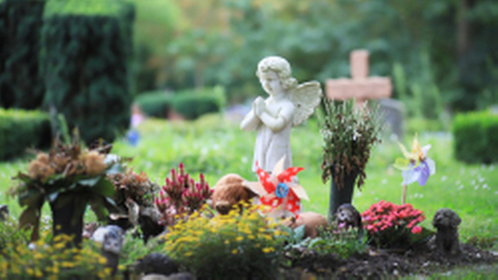Rehe fressen Grabschmuck auf Rostocker Friedhof