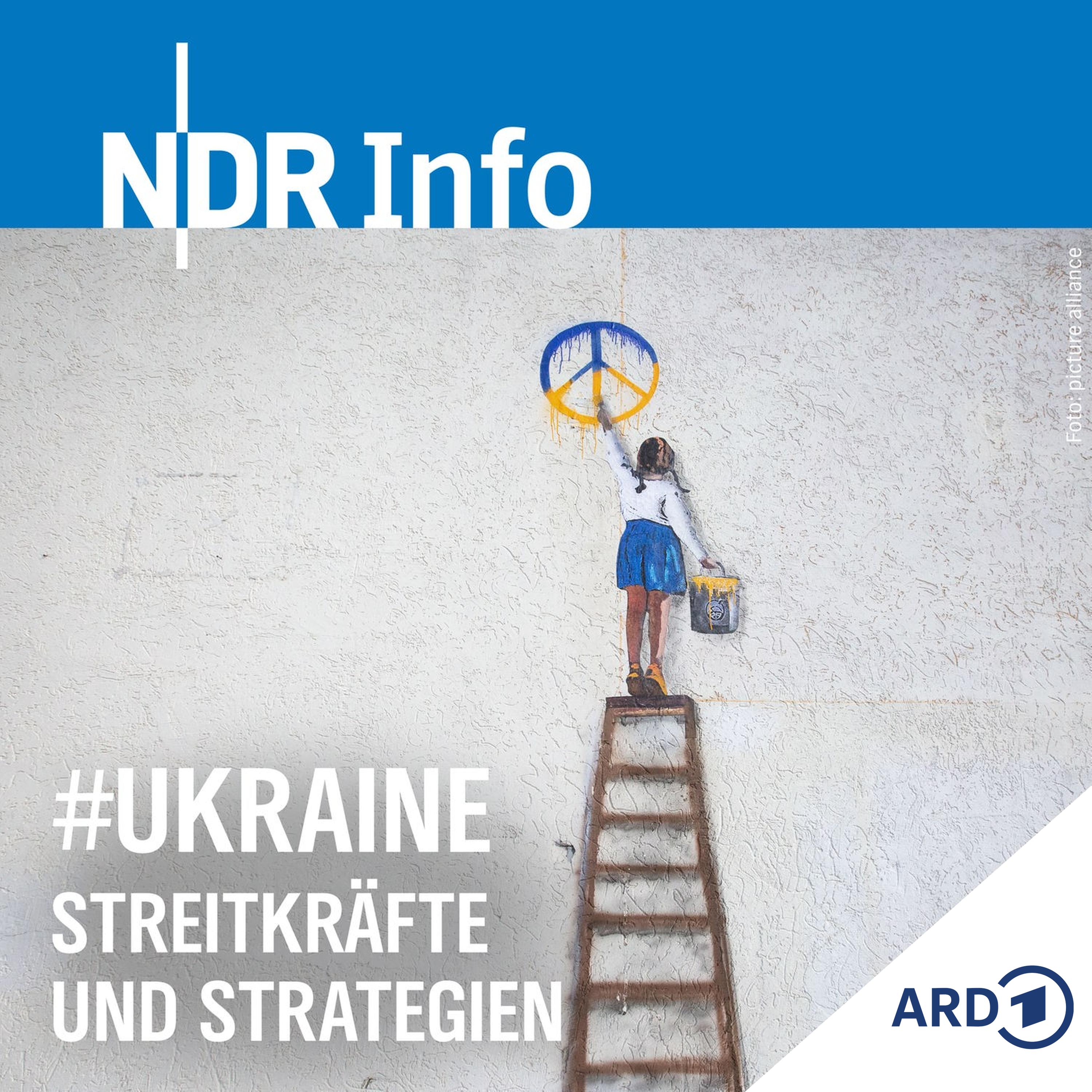 Streitkräfte und Strategien