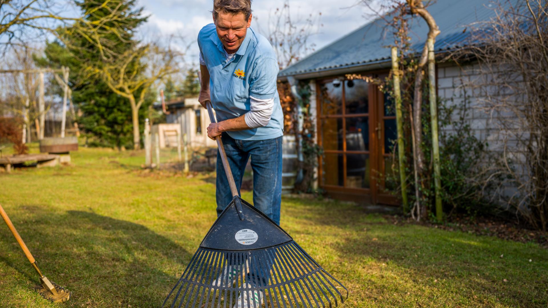 Gärtner Peter Rasch harkt Moos aus dem Rasen | NDR/Udo Tanske