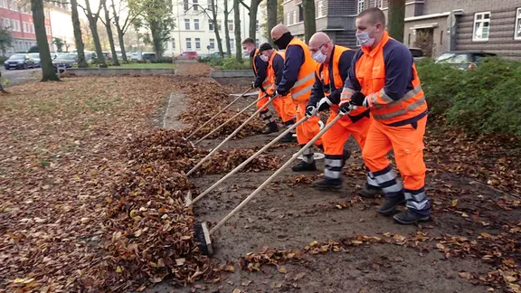 Im Herbst sind die Mitarbeiter der Straßenreinigung Hannover im Dauereinsatz. Sie entfernen jedes Jahr 3.500 Tonnen Laub von den Straßen. Daraus entsteht norddeutscher Grünkompost.