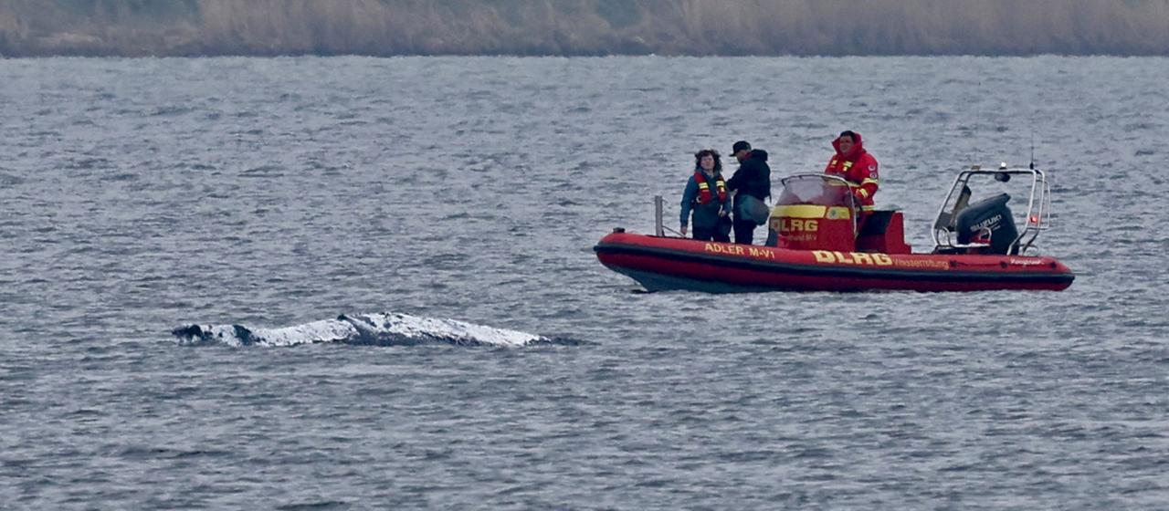 Tag vier des Rettungsversuchs vor Poel