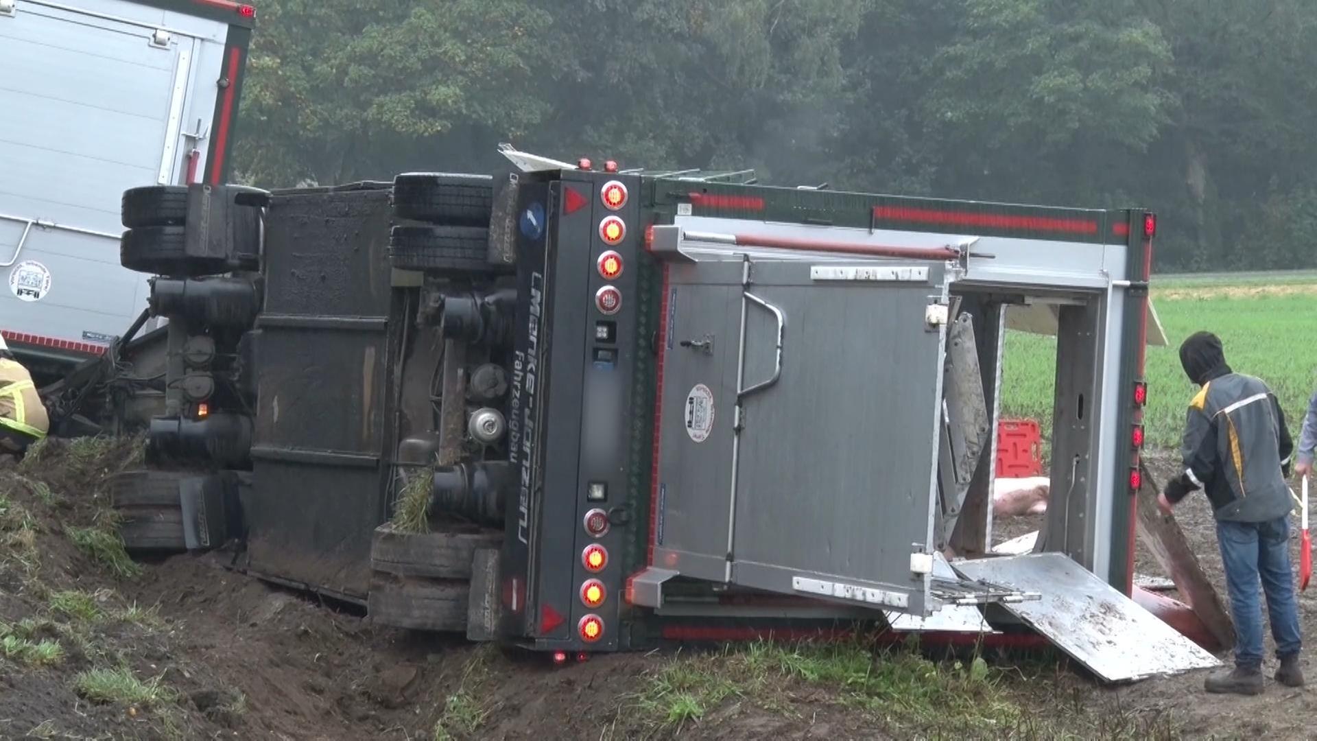 Ein Tiertransporter liegt in einem Graben auf der Seite. | Nord-West-Media TV