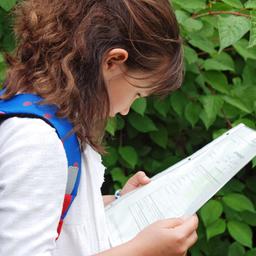 Eine Grundschülerin schaut auf ihr Zeugnis.