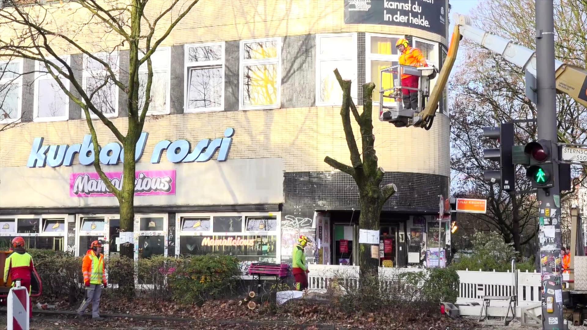 Protestaktion: 37 Bäume werden für Einbau der Sternbrücke abgeholzt