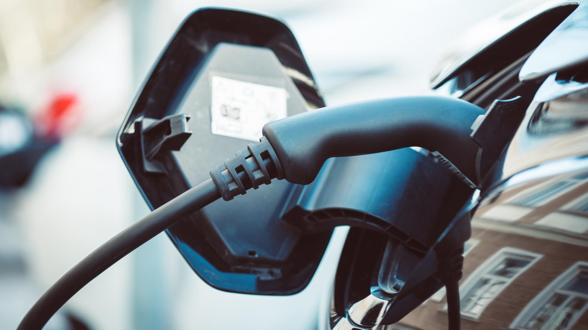 Noch wenig Elektroautos in der Seenplatte