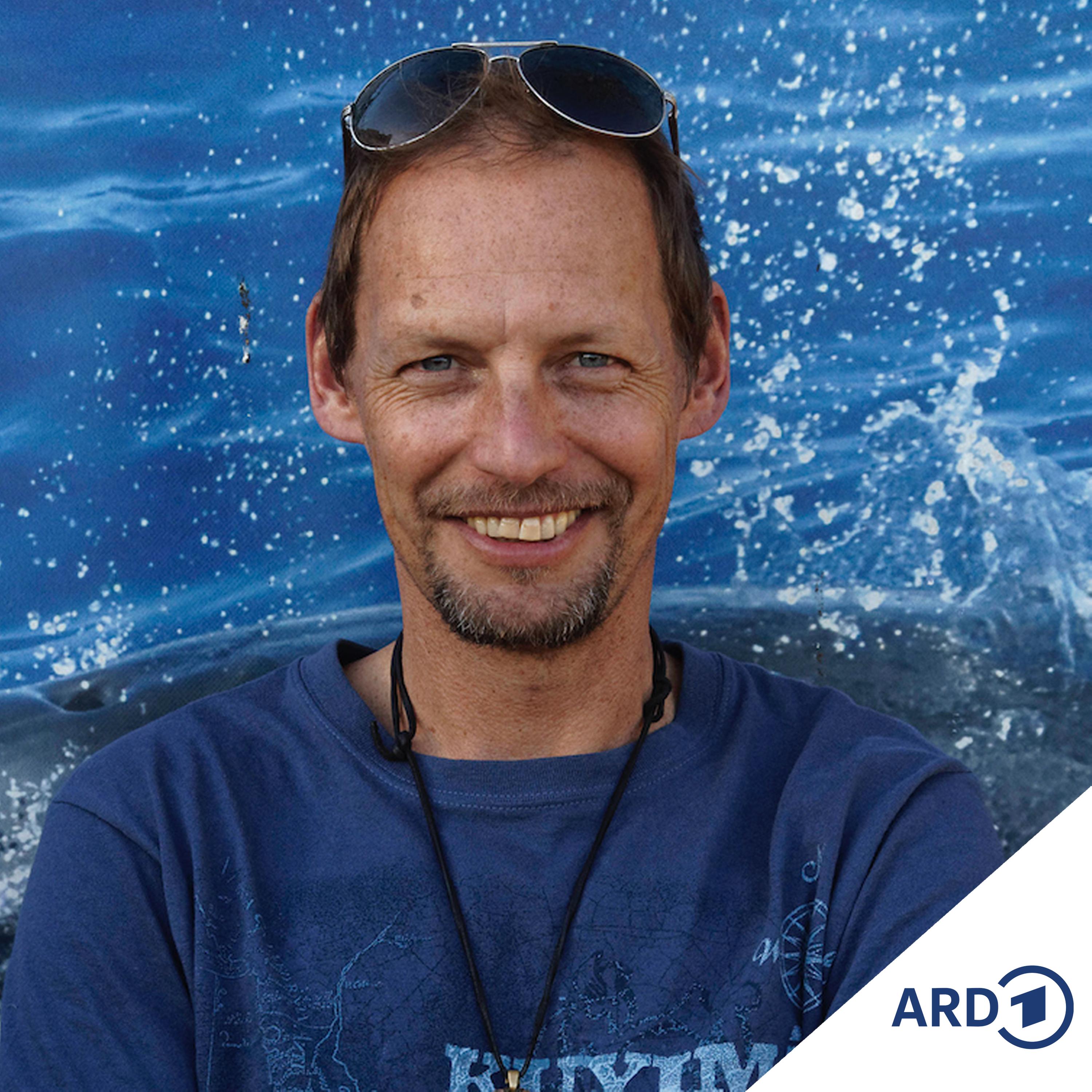 Die Welt der Wale und Delfine