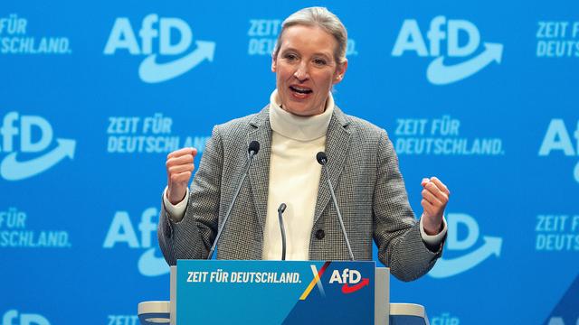 Tausende demonstrieren gegen Weidel-Auftritt in Hamburg