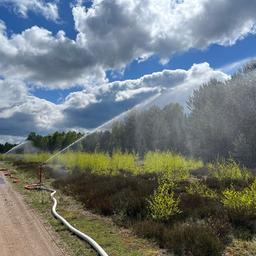 Das Regensystem wird in der Ueckermünder Heide getestet.