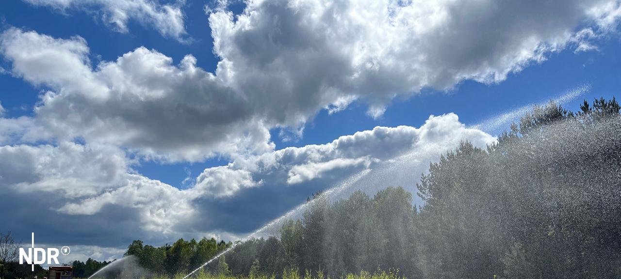 Bei Wald- und Grünlandbränden soll das neue Regensystem helfen. Lange Trockenzeiten und heisse Sommer machen die Vorsorge immer wichtiger. | NDR Das Regensystem wird in der Ueckermünder Heide getestet.