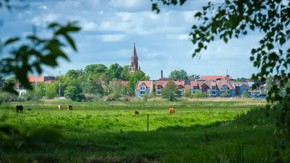 Das Stettiner Haff gilt als echter Geheimtipp für Erholungssuchende: Während es auf Usedom oft voll ist, findet man hier Ruhe und viel unberührte Natur. Das Haff begeistert mit weiten Schilfzonen, klaren Wasserflächen, langweilig wird es trotzdem nicht.