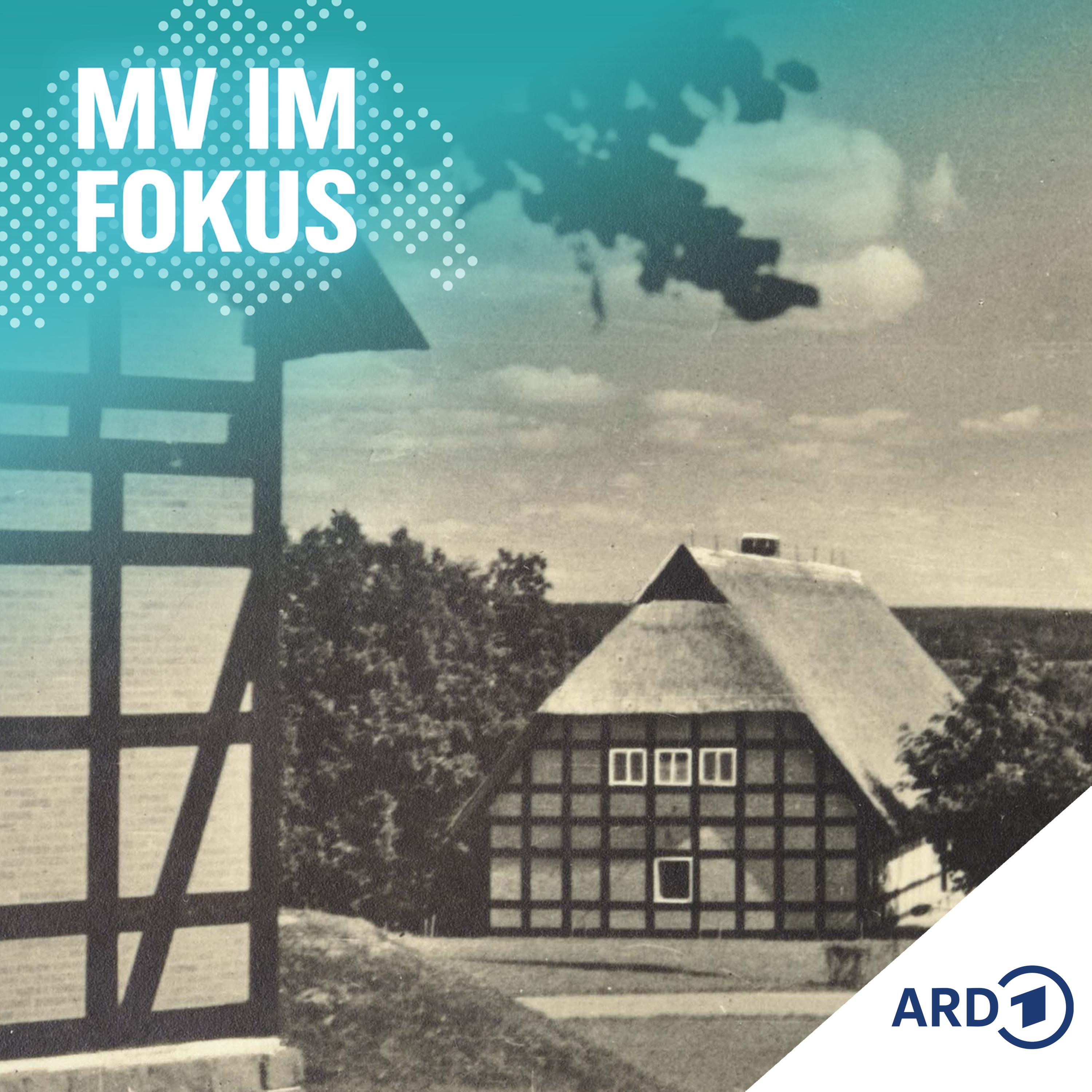 MV IM FOKUS - Darüber spricht Mecklenburg-Vorpommern!