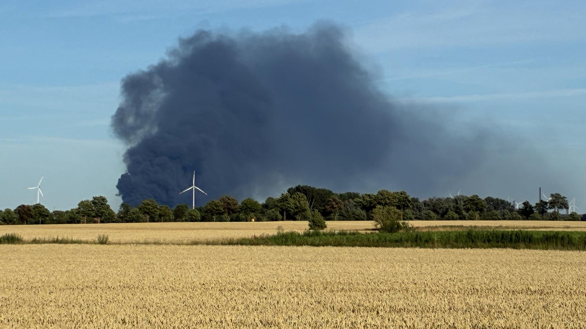 Eine Rauchsäule steht über einem Kornfeld bei Lengede bei Salzgitter. | Jörg Schimmelpfennig