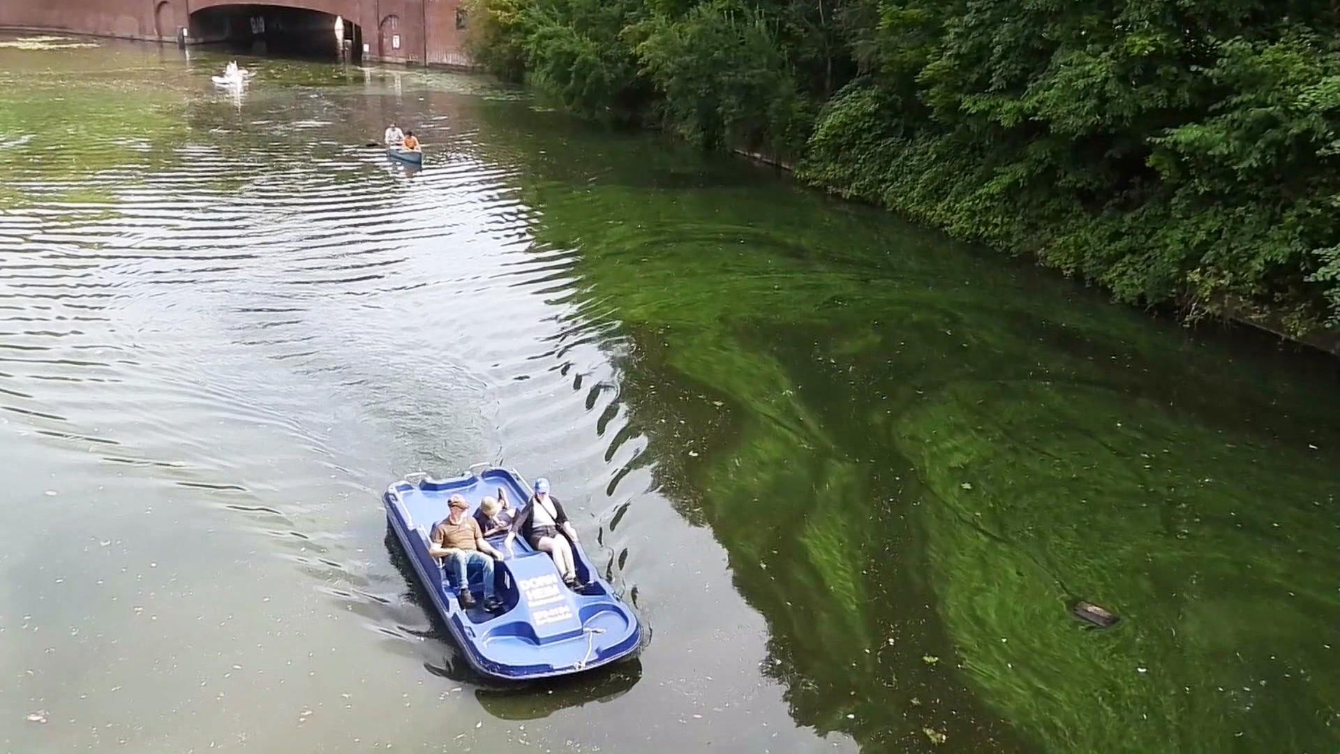 Bezirk warnt vor Blaualgen am Stadtparksee und weiteren Badestellen