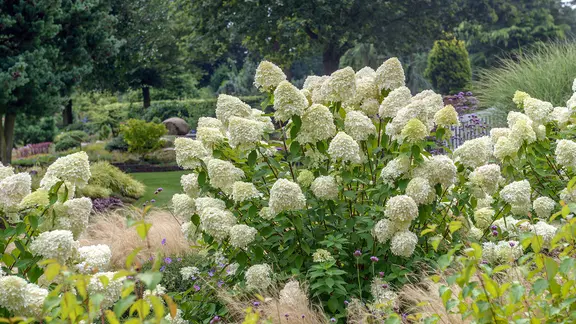 blaukorn-dünger zusammensetzung 5Kg Blaukorn/Volldünger für sämtliche Gartenkulturen main image 0