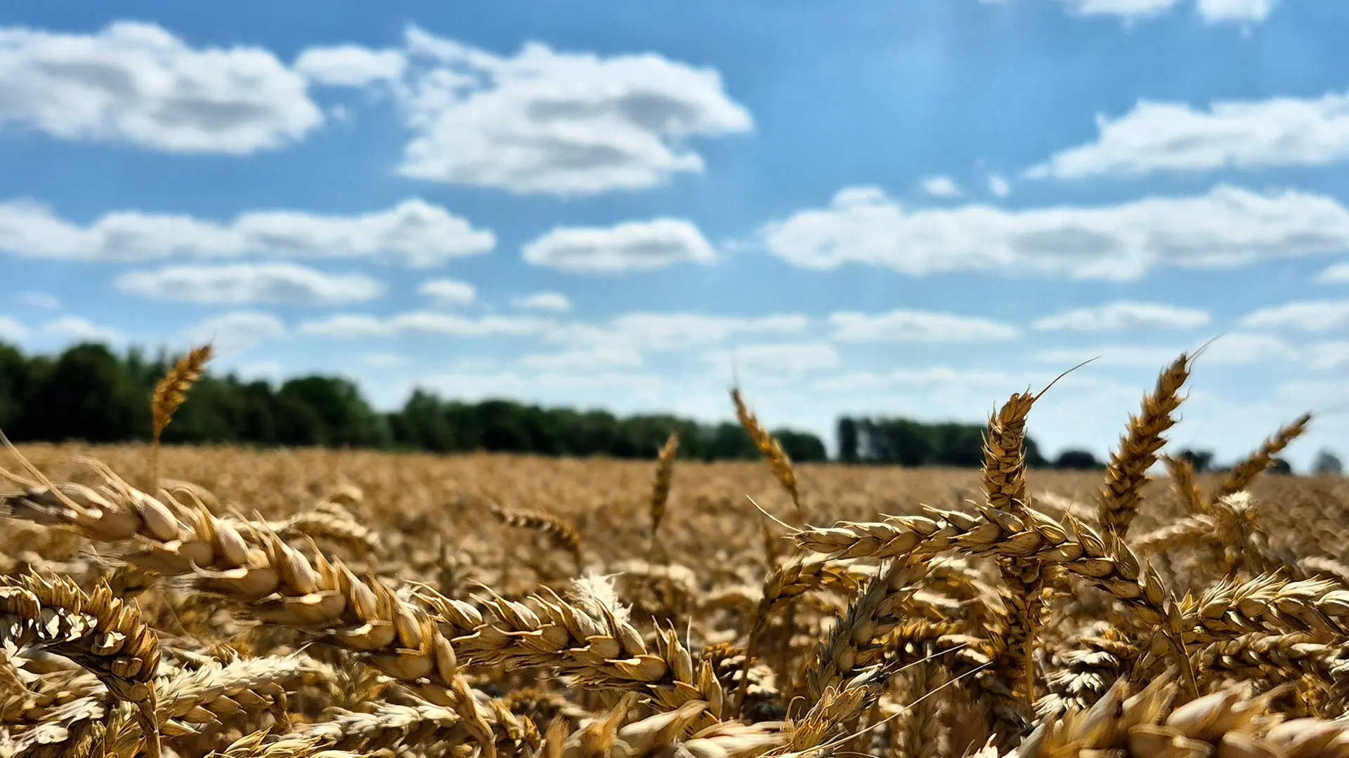 Die Bilder des Tages aus Niedersachsen | ndr.de