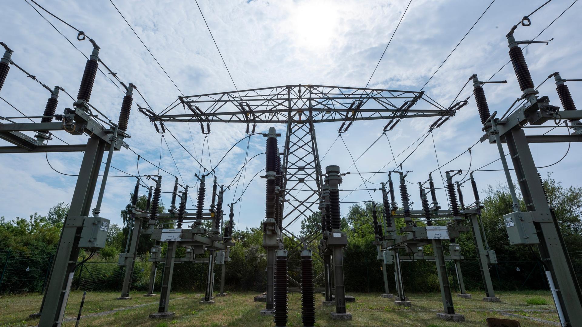 Stadtwerke in Neustrelitz und Neubrandenburg senken Preise