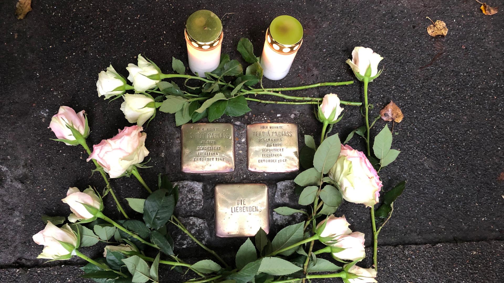 Frau bei Reinigung von Stolpersteinen in Hamburg angegriffen