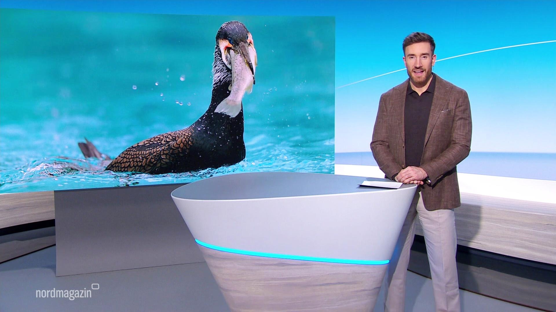 Nordmagazin - Land und Leute | 19.01.2026