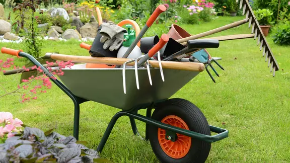 wann rasen mit stickstoff düngen Stickstoffdünger Extra Power: Kraft & Wachstum für den Rasen – turbogrün