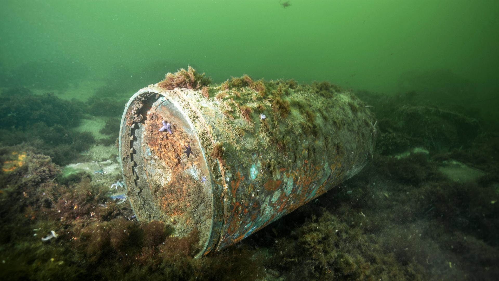 Giftstoffe im Meer: Forschungsschiff untersucht Weltkriegsmunition