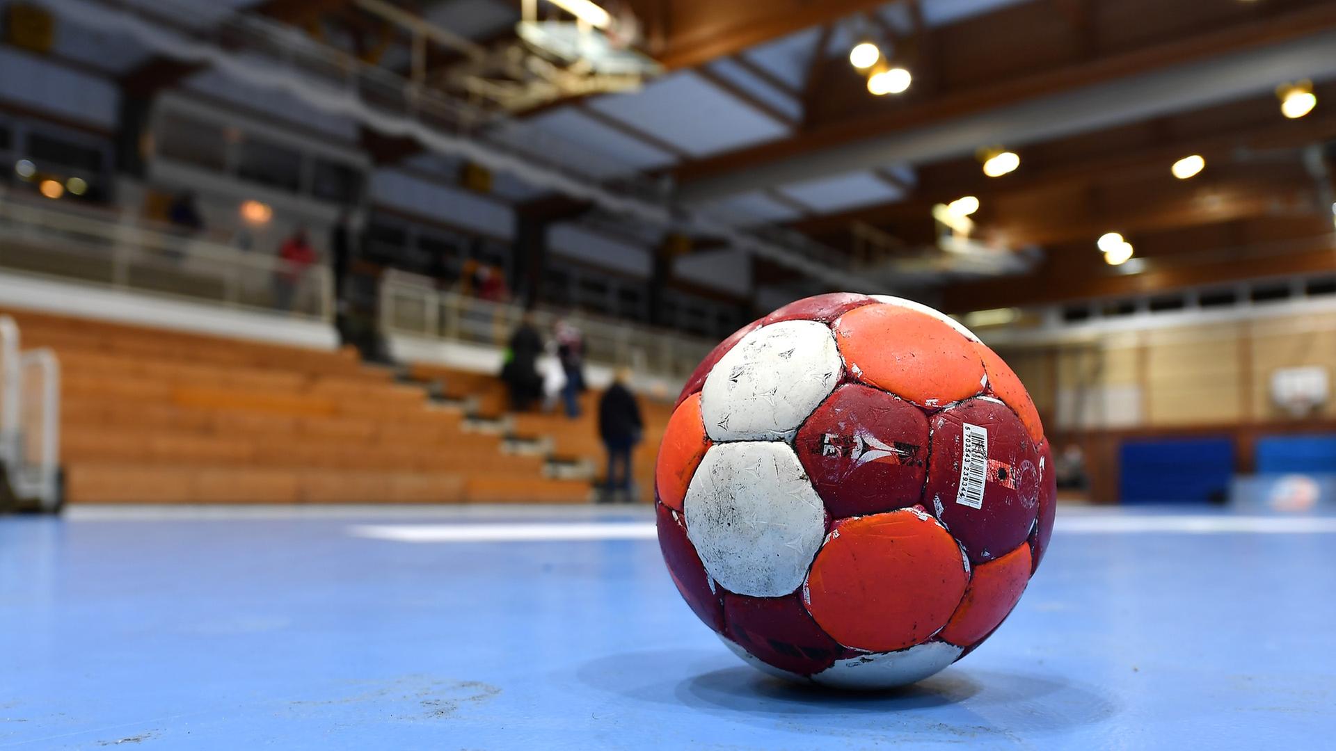 Handball in Schwerin: Mecklenburger Stiere mit Neuzugängen