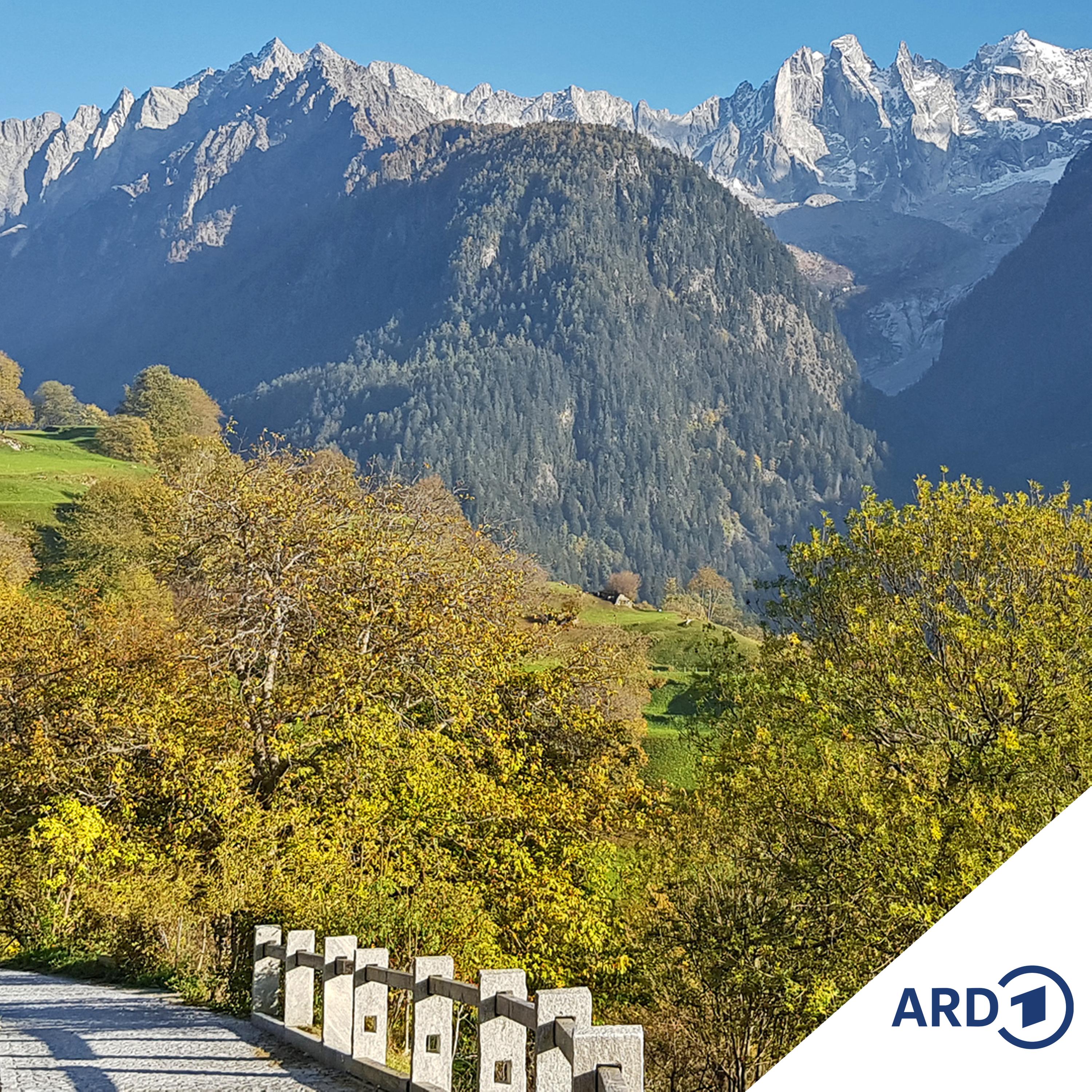 Zwischen Hamburg und Haiti