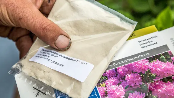olivenbaum welcher dünger Olivenbaum-Dünger von Bodenständig 1-Liter