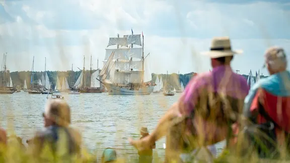 Zahlreiche große und kleine Segelschiffe fahren während der Windjammerparade auf der Kieler Förde.