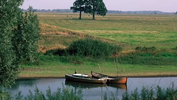 Malerisch liegen zwei alte Boote in einem Gewässer in den Elbtalauen bei Schnackenburg.