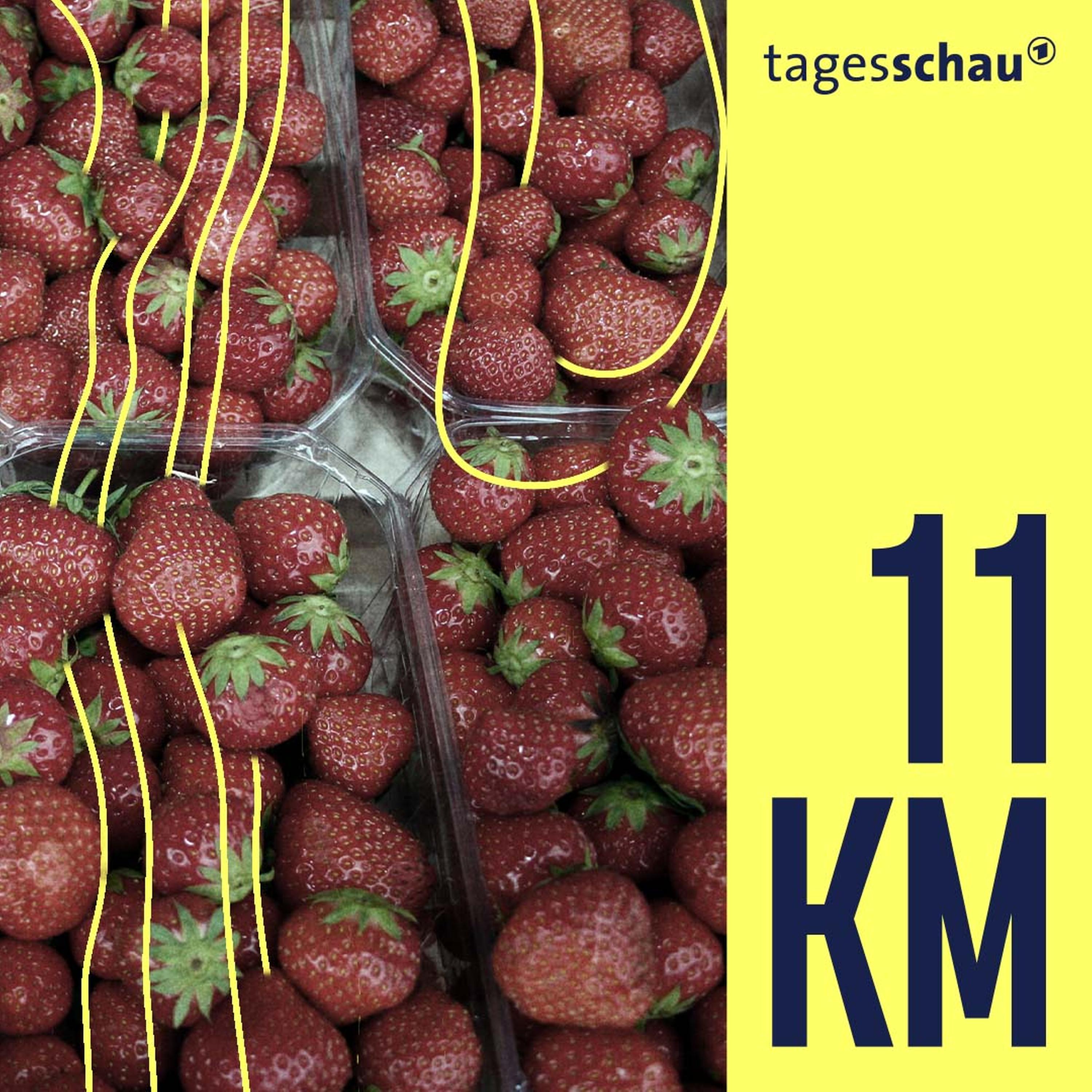 11KM: der tagesschau-Podcast