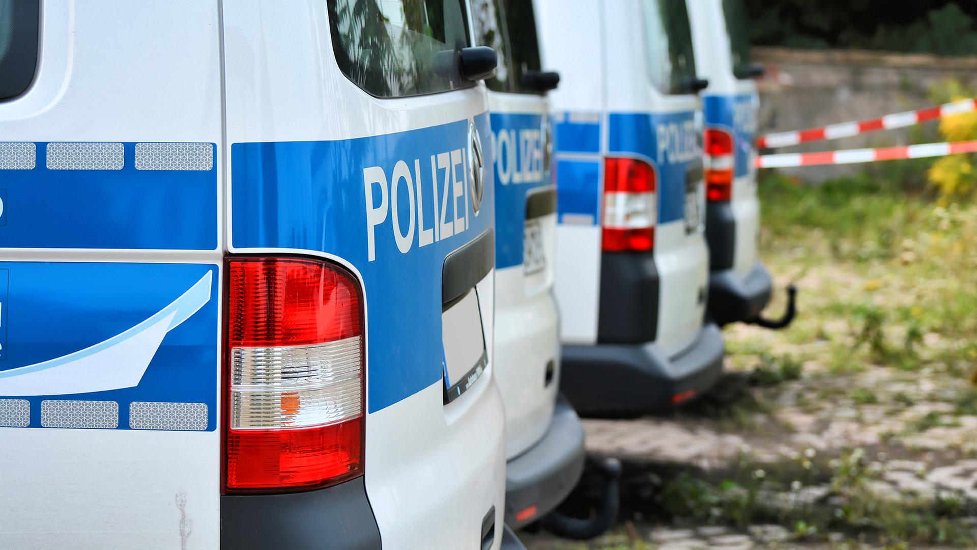 Polizeiautos | panthermedia, heiko119