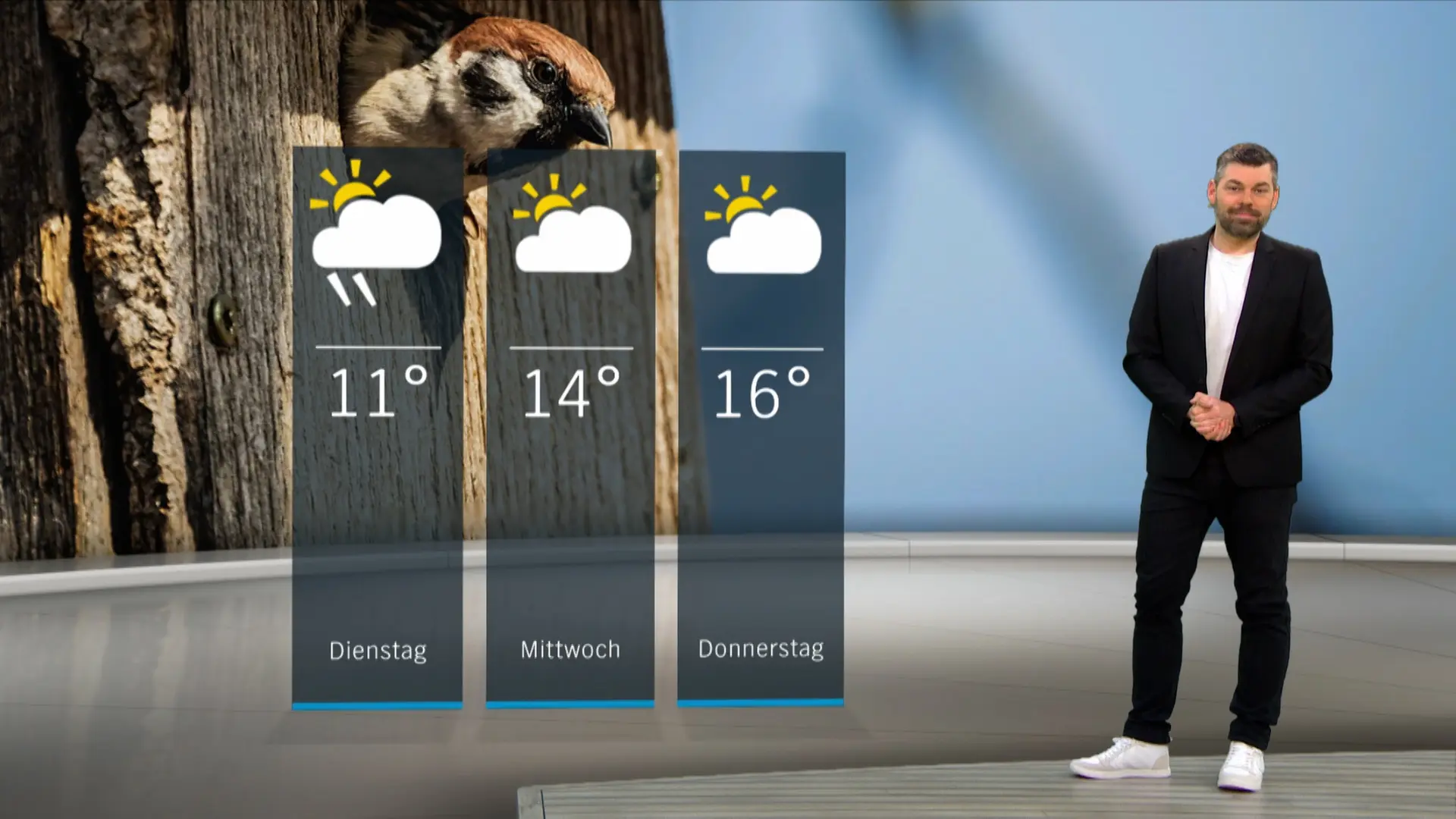 So wird das Wetter in Schleswig-Holstein