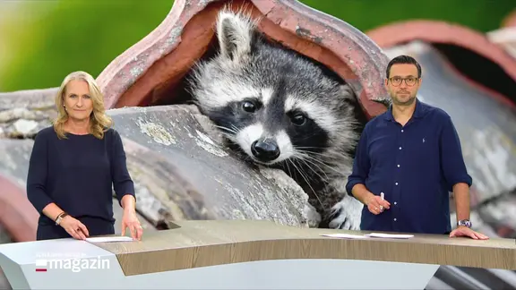 Harriet Heise und Christopher Scheffelmeier im Studio.