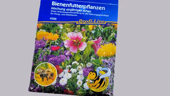 Wildblumen und -stauden im Garten und im Topf pflanzen | ndr.de