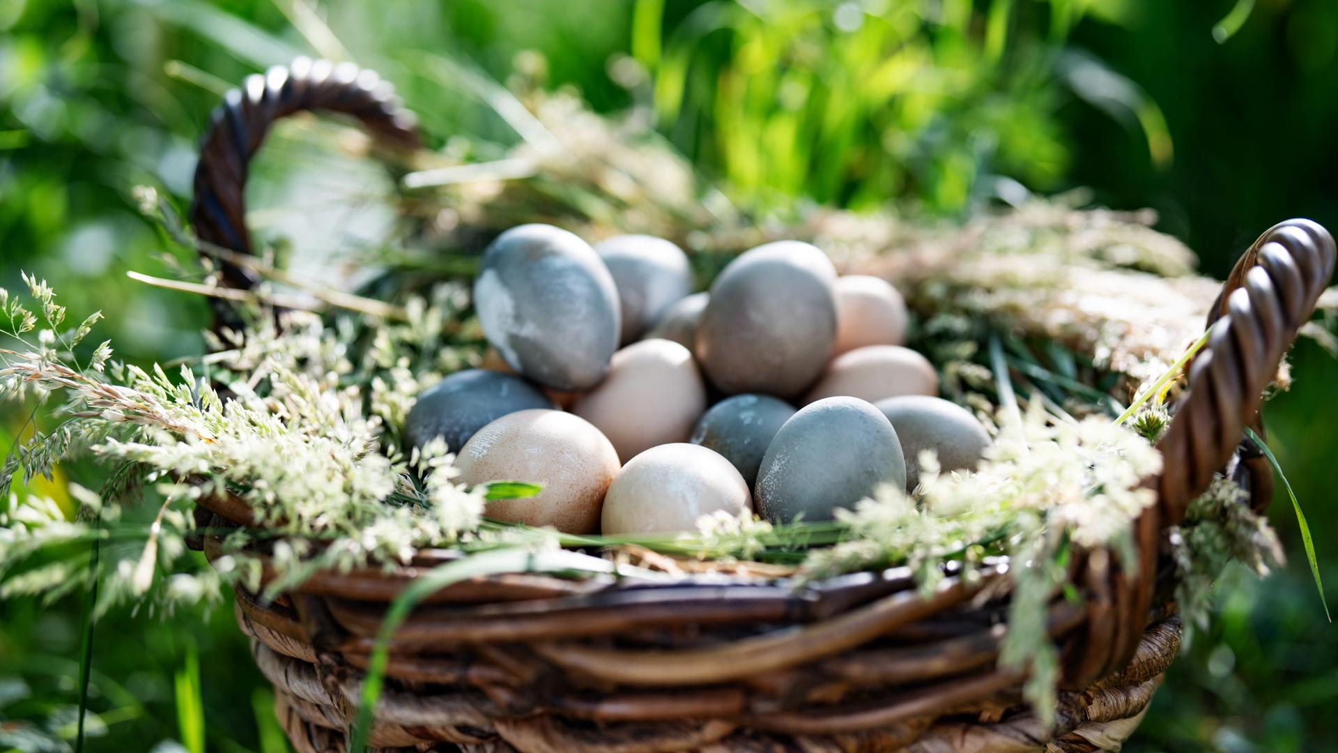Ostern 2026: Diese Frühlings- und Ostermärkte finden in SH statt