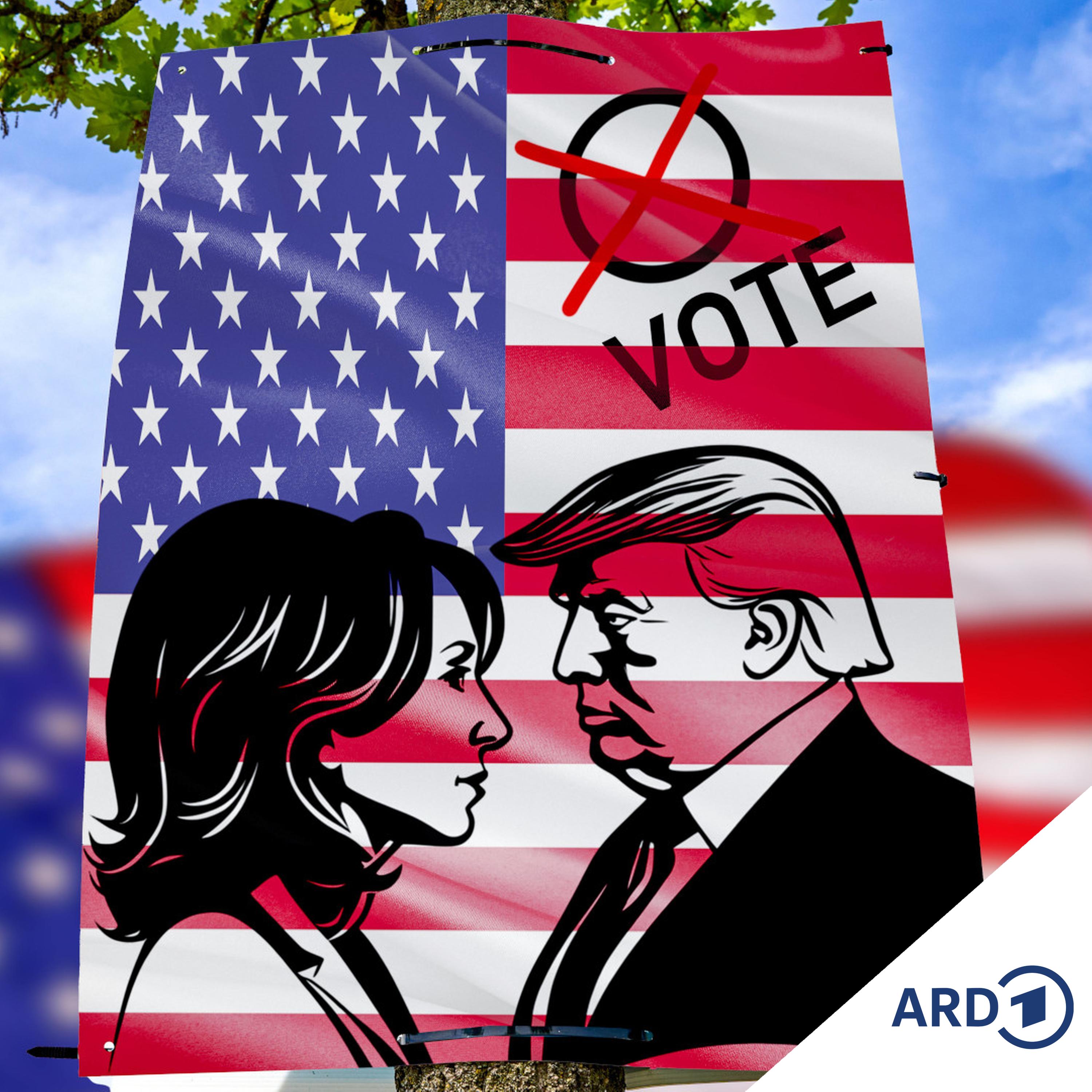 United States of Whatever - Der Vibe vor der US-Wahl episode artwork