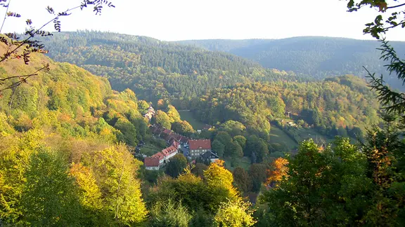 Panoramablick vom WeltWald auf Bad Grund im Harz.