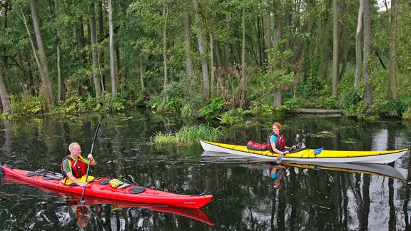 Zwei Kajakfahrer auf der Peene.