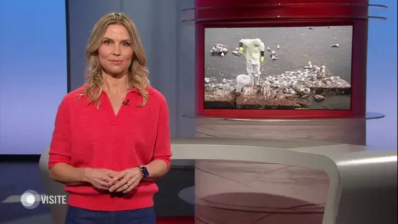 Dr. Julia Fischer moderiert Visite.