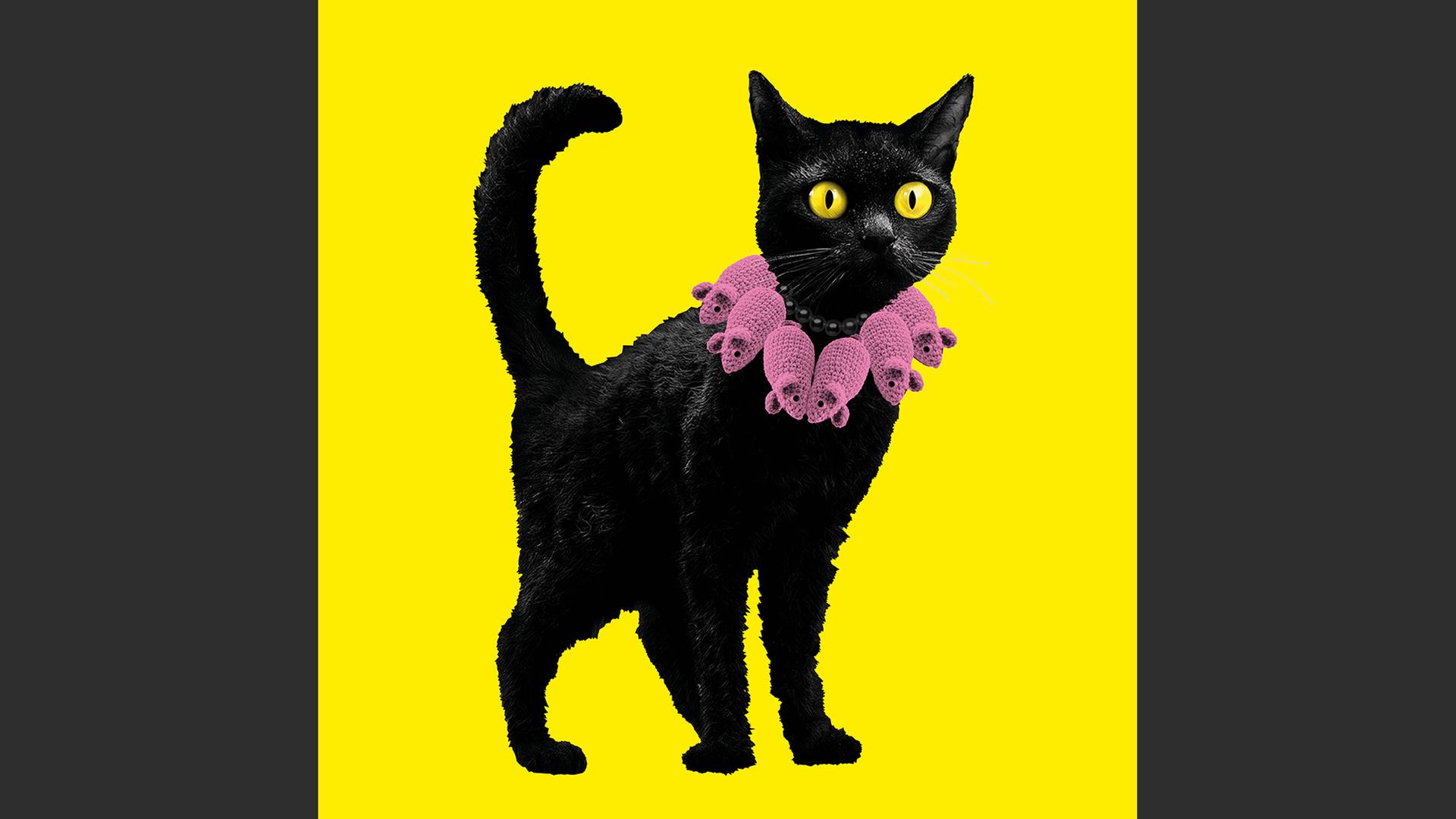 Die Macht der Katze: Cuteness, Kult, Kunst in Hamburg