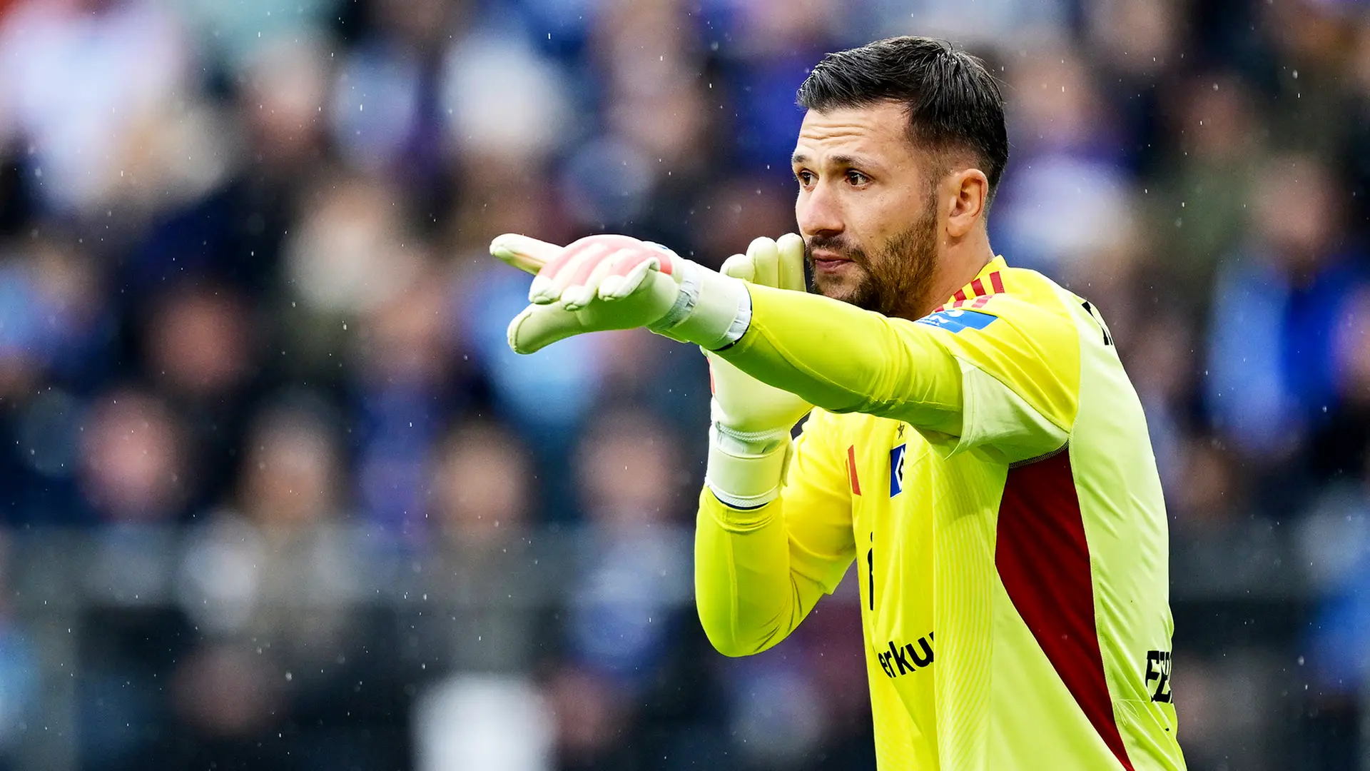 teilnehmer hsv gegen eintracht frankfurt
