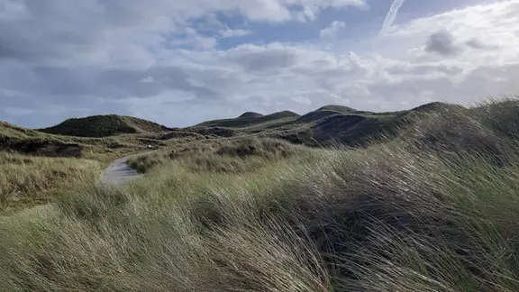 Mit Gräsern bewachsene Hügel am Strand.