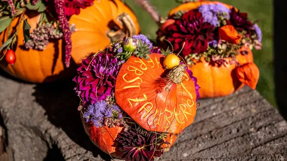 Herbstdeko mit Blumen und Kürbis