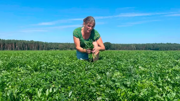 Landwirtin Sina Rolfsmeyer baut im Wendland Petersilie an.