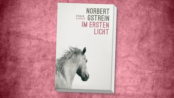 Εξώφυλλο: Norbert Gstrein: "In the first light"