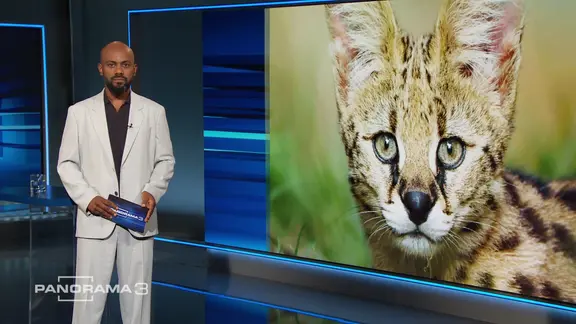 Aimen Abdulaziz-Said moderiert Panorama 3.