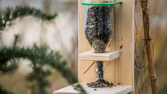 Futterstationen fr Wintervgel selbst bauen | ndr.de