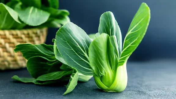 Ein frischer Pak-Choi-Kohl | colourbox, - Ein frischer Pak-Choi-Kohl